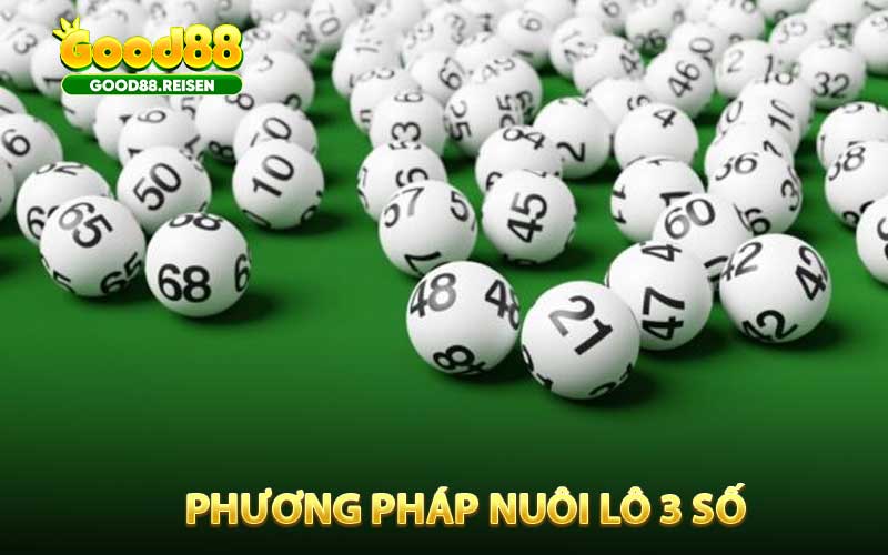 Phương Pháp Nuôi Lô 3 Số